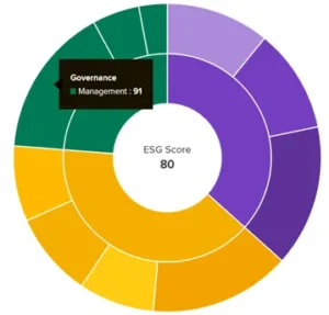 pie chart representing each aspect of ESG and highlighting Governance